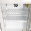 Cube Freezer - freezer - small - cold - silver - GCGW50