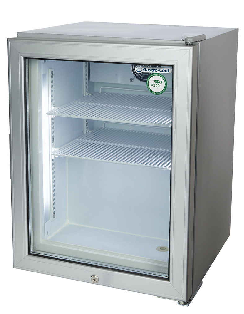 Mini Eisschrank - Gefrierschrank - klein - kalt - silber - GCGW50